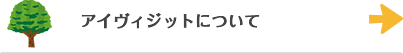 アイヴィジットについて